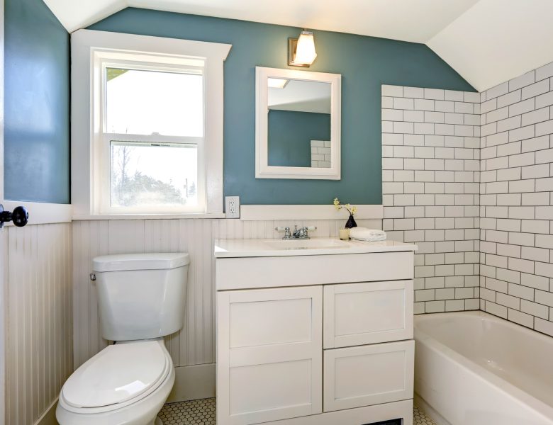 Bathroom interior with tile and plank wall trim